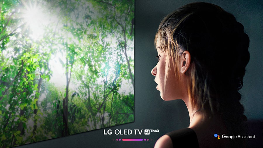 خرید تلویزیون 55 اینچ OLED ال جی مدل 55E8 از بانه