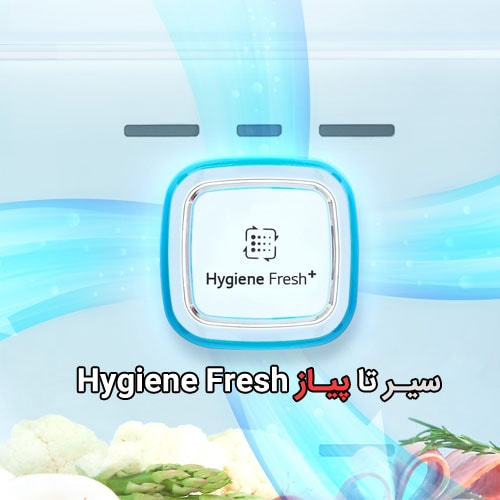 hygiene fresh چیست؟